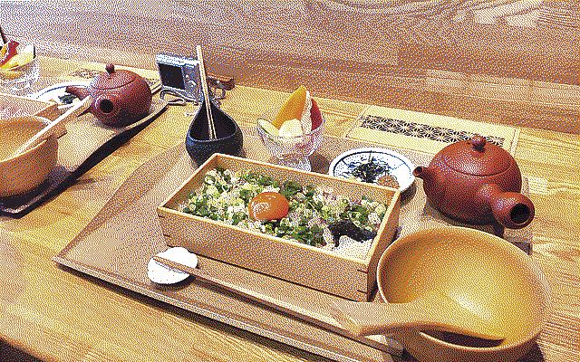 Another donburi, covered with green onions